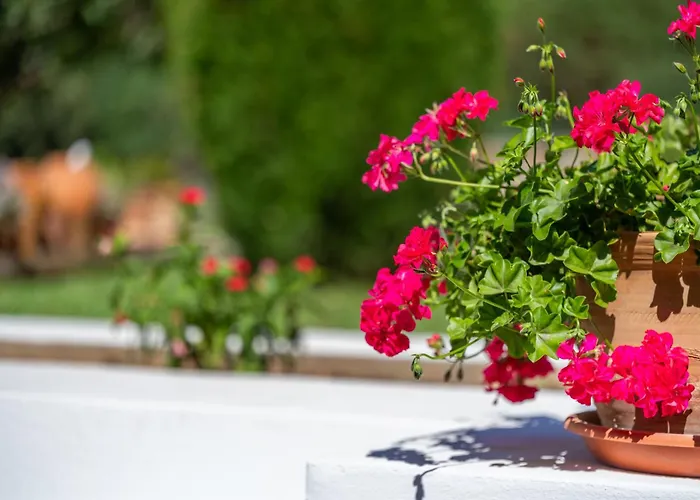 Nyaraló Tirana Pollença